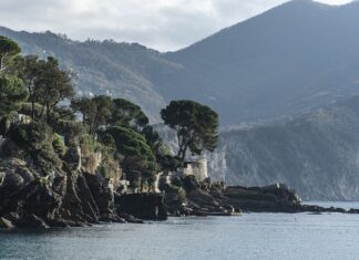 Ile kosztuje jedna raca?