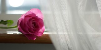 Co na okno w kuchni zamiast firanki?