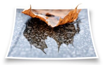 Czy do piaskowania trzeba mieć zdrowe zęby? Czy do piaskowania trzeba mieć zdrowe zęby?