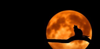 Jak czyścić czarny mat?