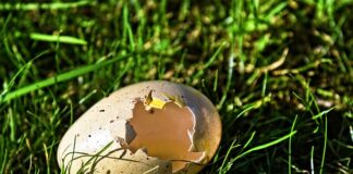 Jak myc powłokę ceramiczna?