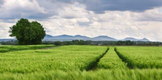 Jakie auto ma rozstaw śrub 4×100? Jakie auto ma rozstaw śrub 4x100?
