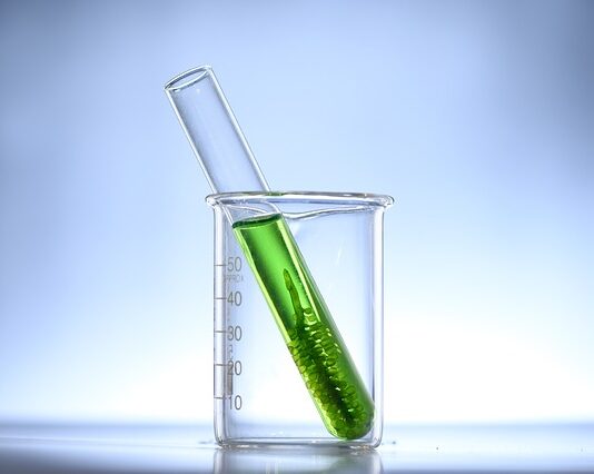 Jak się pozbyć glonów z dzbanka?