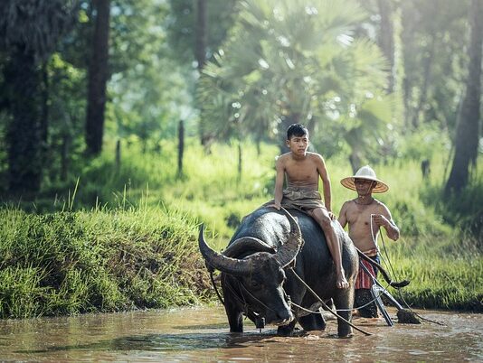 Czym Pielęgnować motocykl?