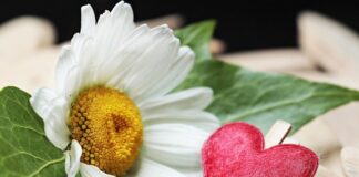 Jak smarować zaciski hamulcowe?