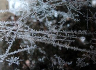 Czy można mrozić jedzenie w plastikowych pojemnikach?