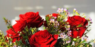 Jaki jest najdroższy Volkswagen?