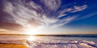 Ile kosztuje 25 kg piasku?