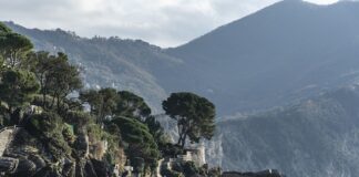 Ile kosztuje założenie firmy Detailingowej?