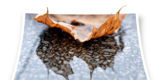 Czy piasek kwarcowy nadaje się do piaskowania trawnika?