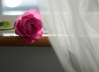 Czy firanki mogą leżeć na podłodze? Czy firanki mogą leżeć na podłodze?