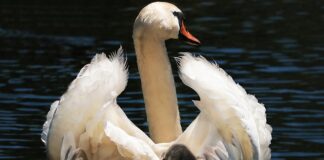 Kiedy wyjąć wkładkę z fotelika?