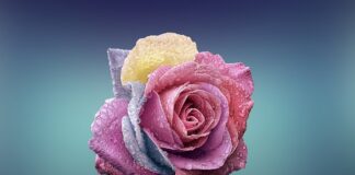 Czym się różni Sodowanie od piaskowania?