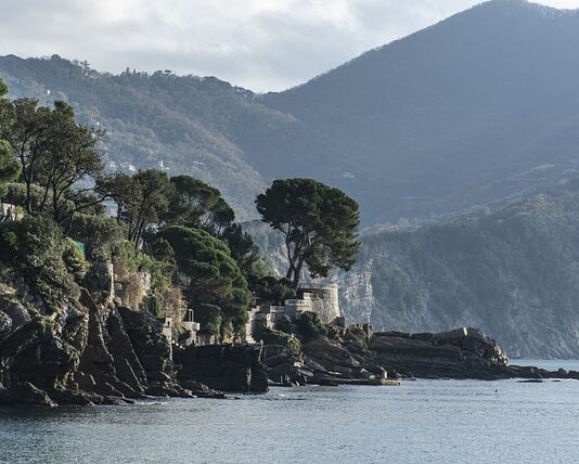 Ile kosztuje wymiana pierścieni tłokowych?