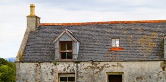 Jaki pędzel do odcinania?