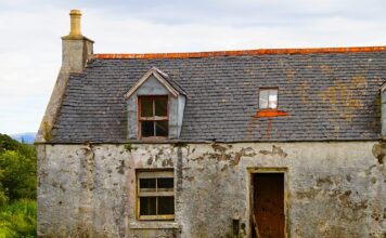 Jaki pędzel do odcinania?