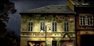 Jak sprawdzić poziom przyciemnienie szyb?